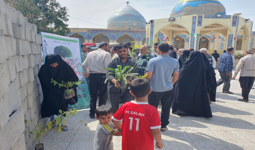توزیع 400 اصله نهال در بین نمازگزاران شهرستان میناب به مناسبت بزرگداشت هفته منابع طبیعی