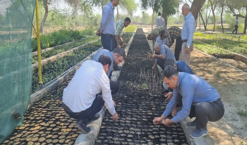 کاشت بذر و بازدید از نهالستان باغو بندرعباس توسط همکاران اداره کل منابع طبیعی و آبخیزداری هرمزگان 