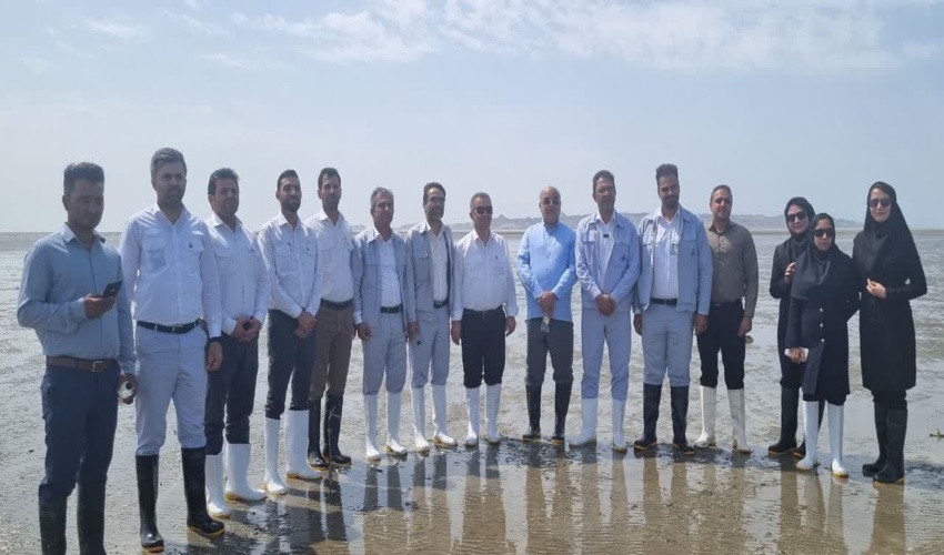 مدیرعامل شرکت نفت ستاره خلیج فارس از توسعه حراکاری سواحل خلیج فارس بازدید نمود