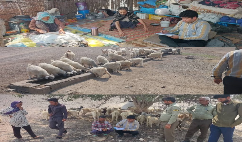 صدور اخطاریه خروج دام مازاد عشایر از مراتع قشلاقی شهرستان رودان