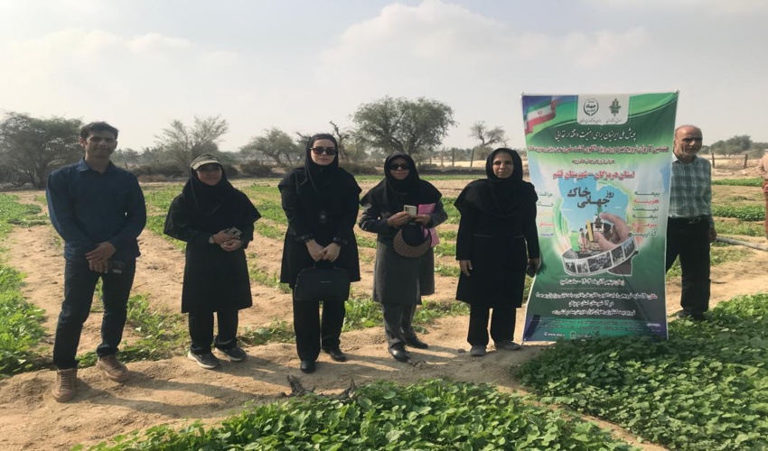 برگزاری هشتمین کاروان ترویجی بهره وری و الگوی کشت در شهرستان قشم