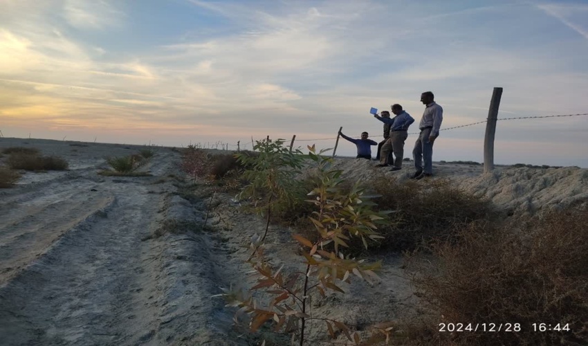 بازدید تیم ارزیابی سازمان منابع طبیعی کشور از طرح های بیابانی در شرق هرمزگان