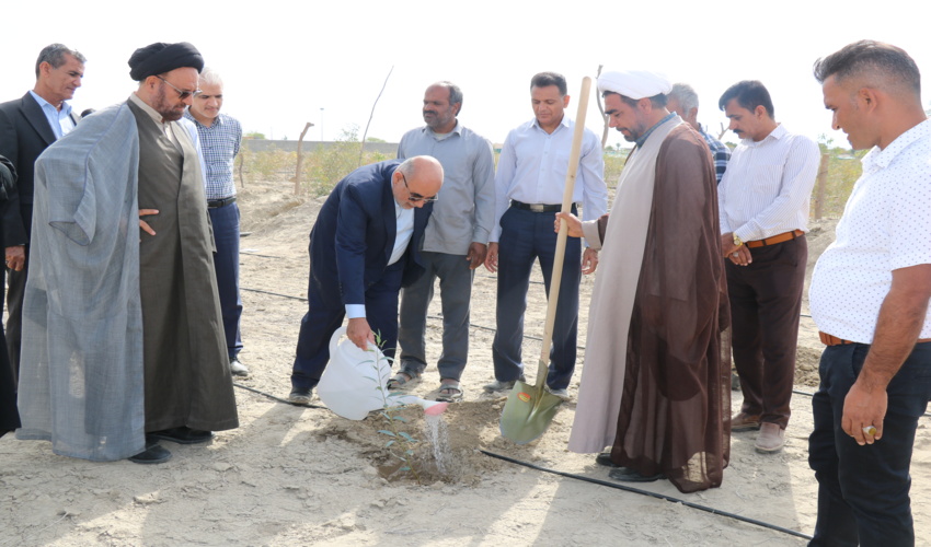 به مناسبت ولادت حضرت علی (ع) و روز پدر؛ 5هزار اصله نهال در هرمزگان کشت شد                                        
