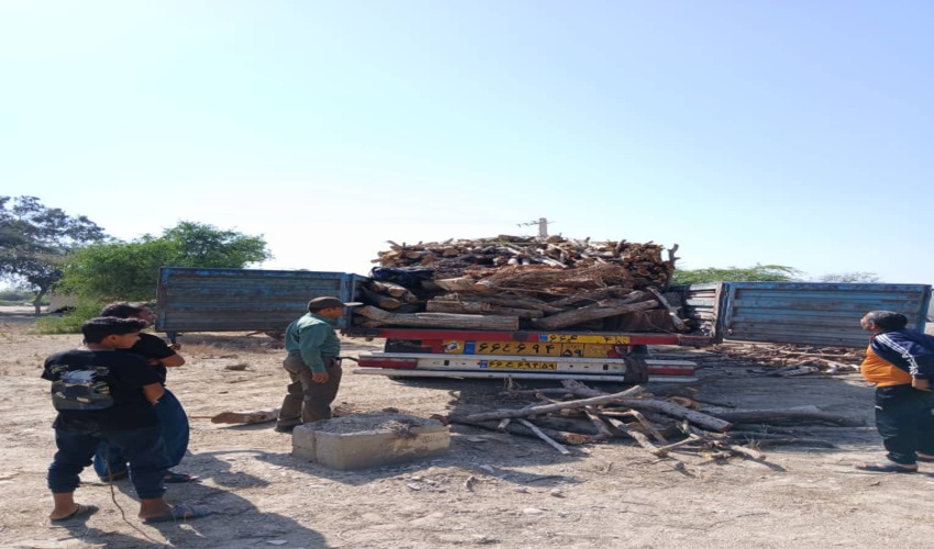 توقیف محموله چوب غیر مجاز در جادههای مواصلاتی شهرستان بندرعباس