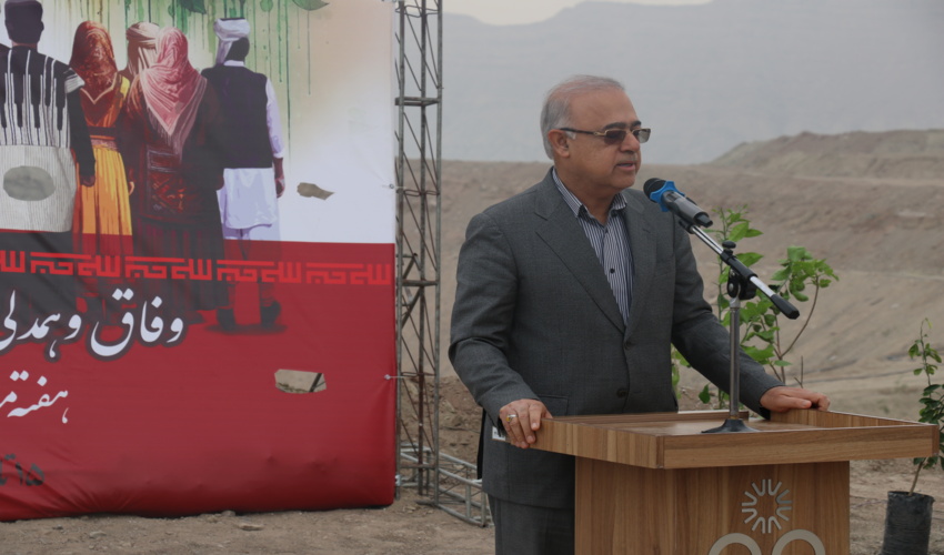 استاندار هرمزگان: درختکاری نمادی برای حفظ هوای پاک است