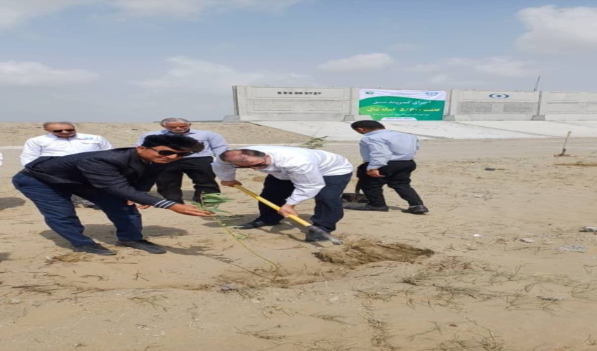 برگزاری روز درختکاری در شهرستان سیریک