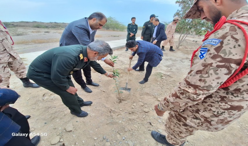 برگزاری جشن درختکاری در شهرستان بندرلنگه 