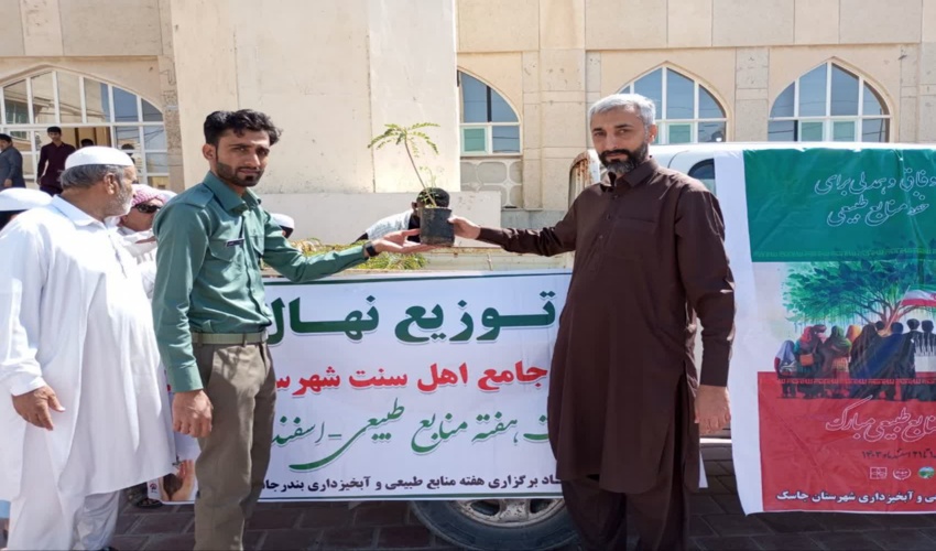توزیع نهال رایگان بین نمازگزاران شهرستان جاسک  و ایراد سخن توسط ائمه جمعه به مناسبت هفته منابع طبیعی و آبخیزداری