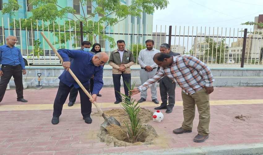 پویش کاشت نهال در کتابخانه های عمومی سراسر کشور به یاد رهبر شهید و دانش آموزان شهید مدرسه شجره طیبه میناب