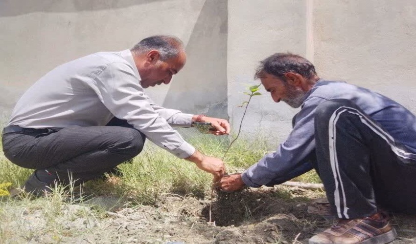 توزیع و غرس  ۱۰۰ اصله نهال در گرامیداشت ایام فرخنده در شهرستان بشاگرد