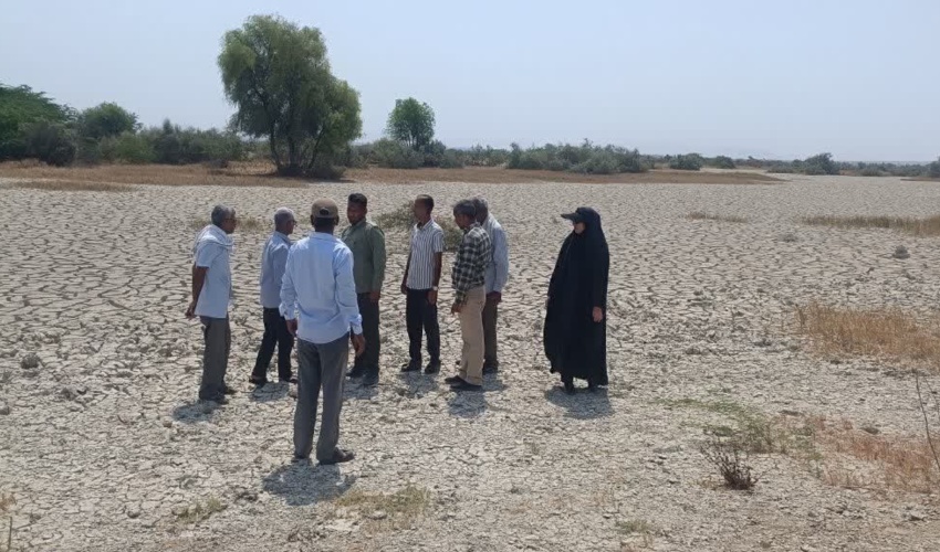 بازدید اعضا شورای اسلامی و معتمدین روستای دماغ ریگ از پروژه های بیابان زدایی