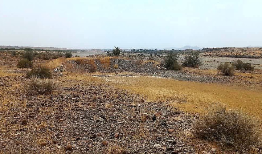 گشت حفاظتی یگان منابع طبیعی شهرستان رودان در مراتع رهدار و چاه محمود برای صیانت از پوشش گیاهی