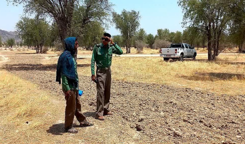 بازدید یگان حفاظت منابع طبیعی شهرستان رودان از عملیات ایجاد آتشبُر در جنگل مورکردی نازدشت بخش رودخانه