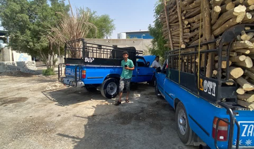پایش مستمر برای مقابله با قاچاق چوب و محصولات فرعی جنگلی و مرتعی