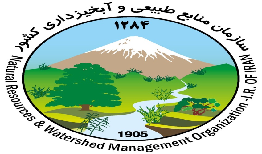 ساختار تشکیلاتی